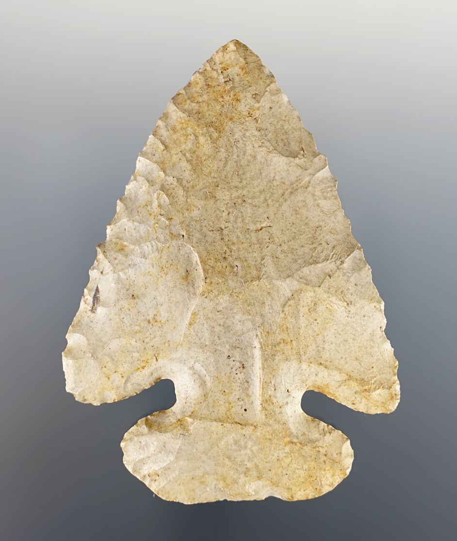 Main artifact image