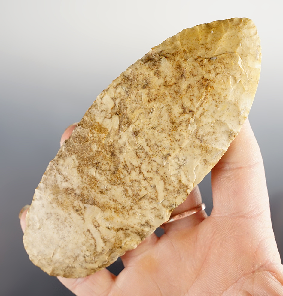 Main artifact image