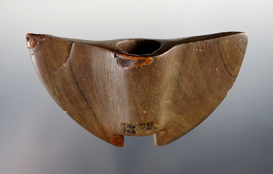 Main artifact image