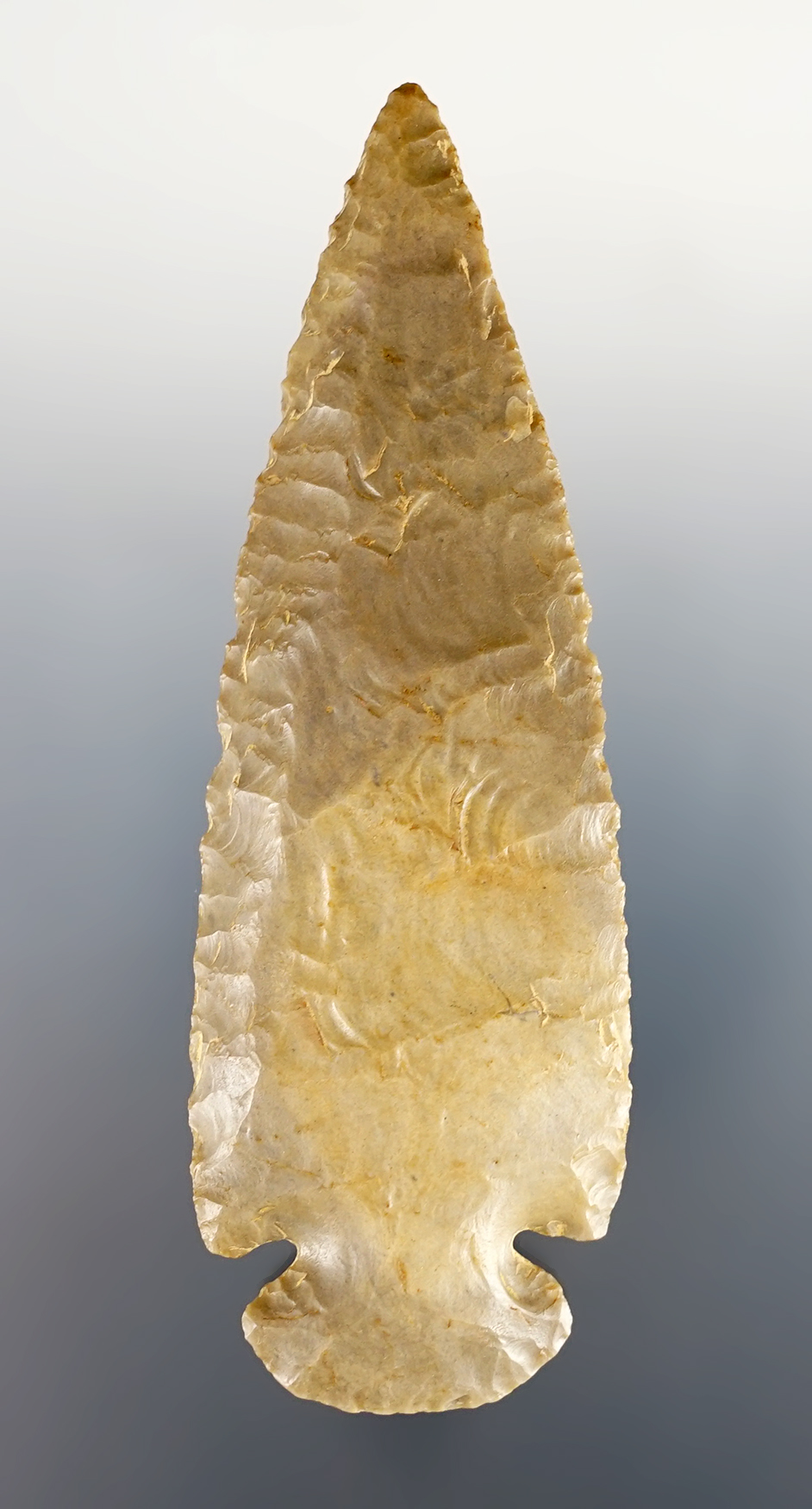 Main artifact image