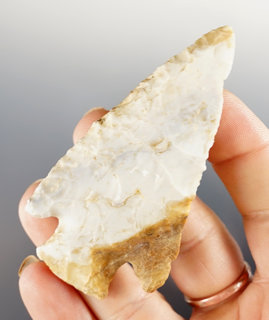 Main artifact image