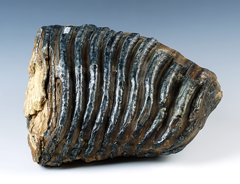 Main artifact image