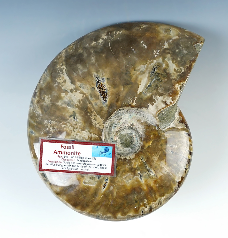 Main artifact image