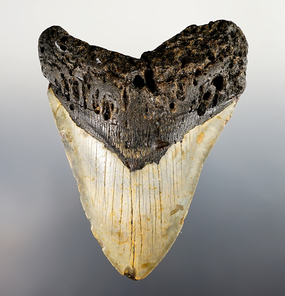 Main artifact image