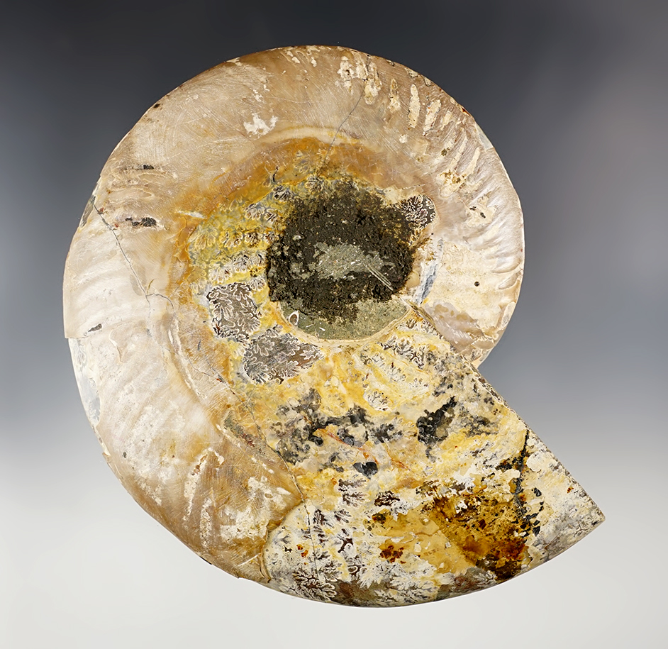 Main artifact image