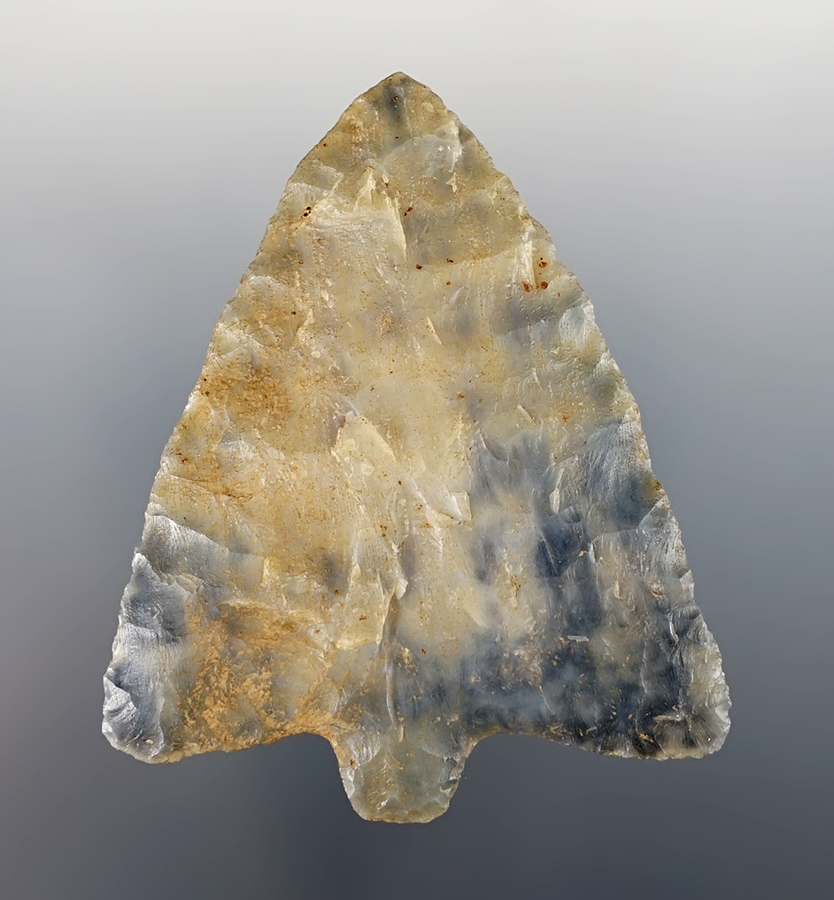 Main artifact image