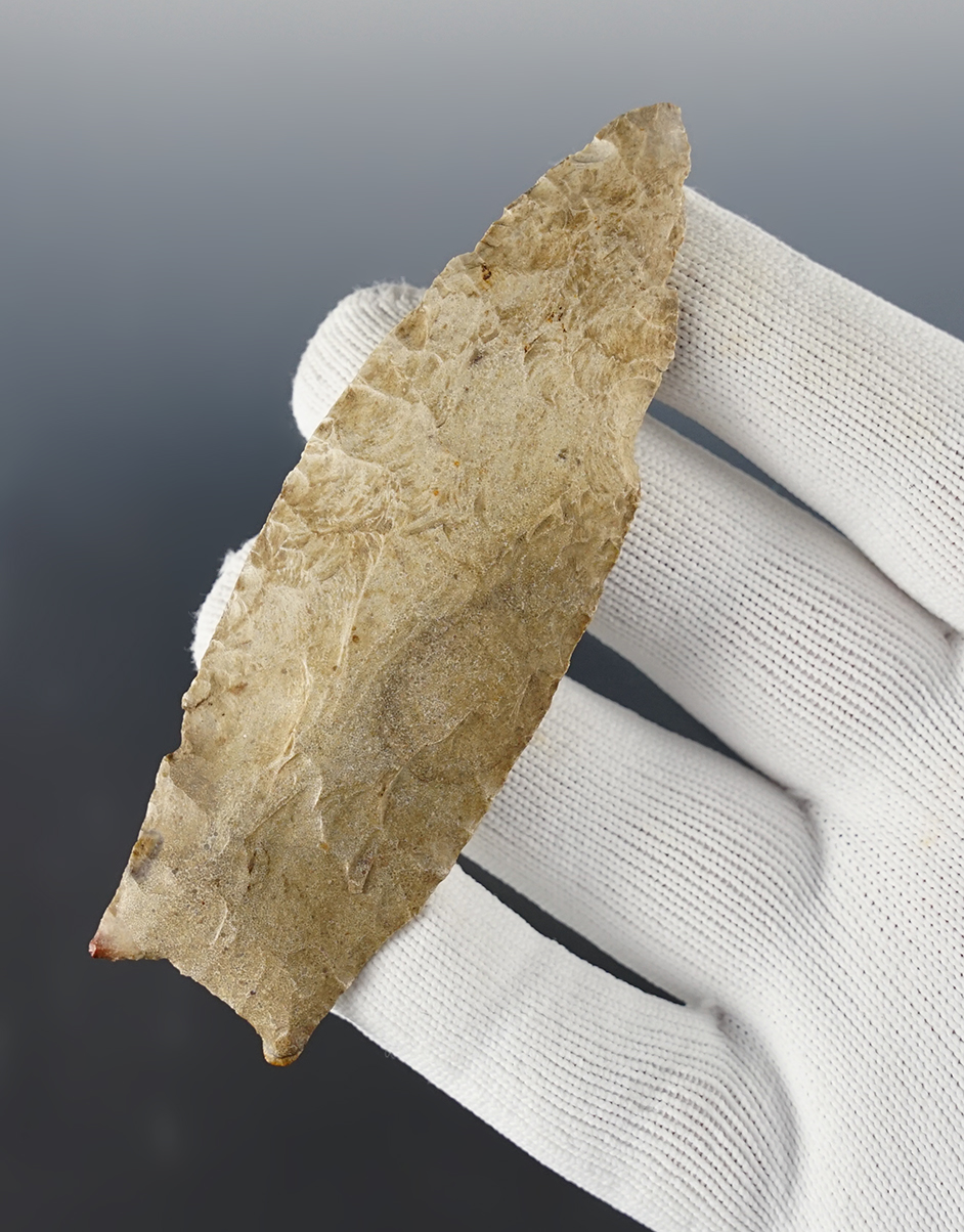 Main artifact image