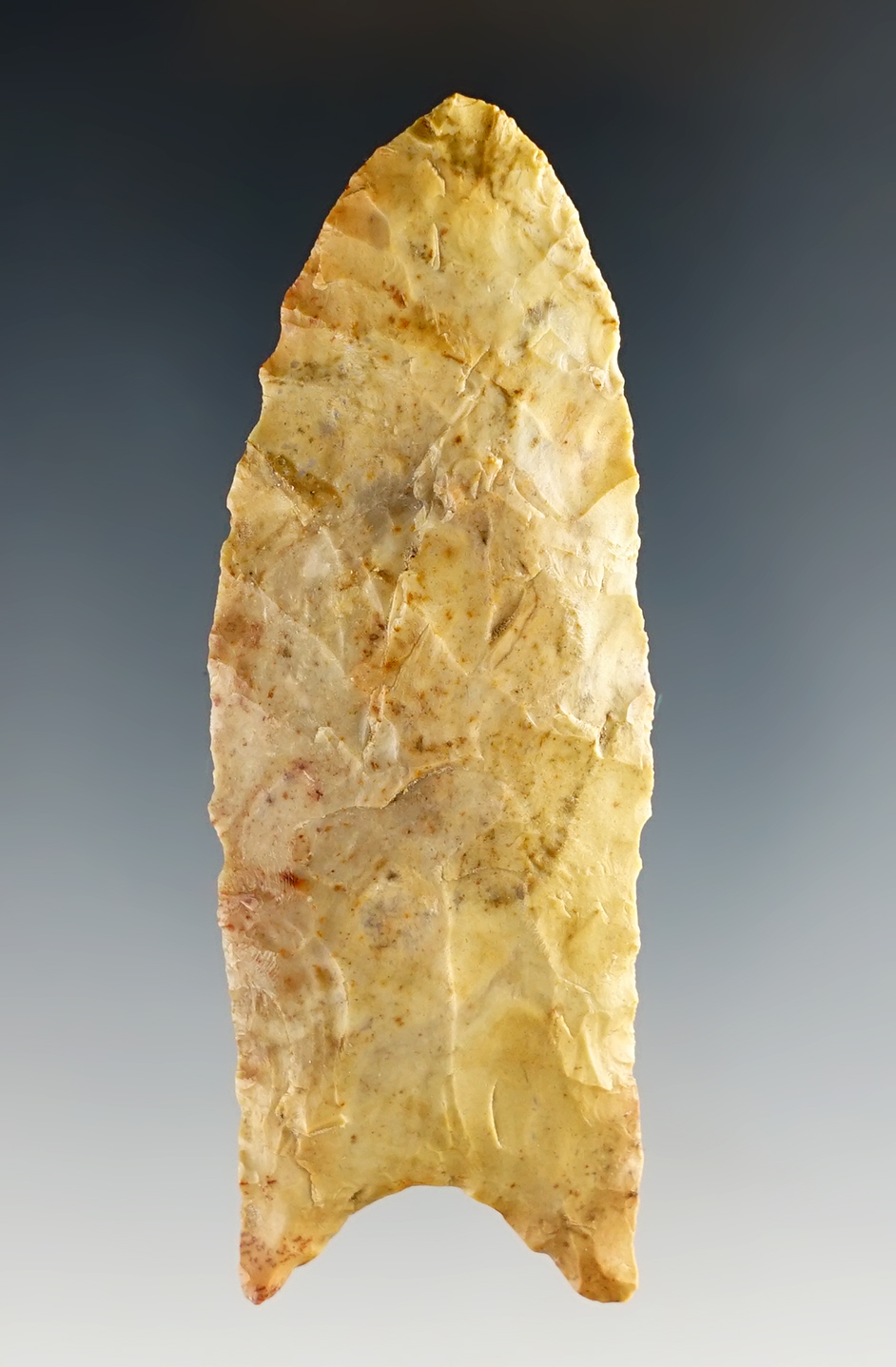 Main artifact image