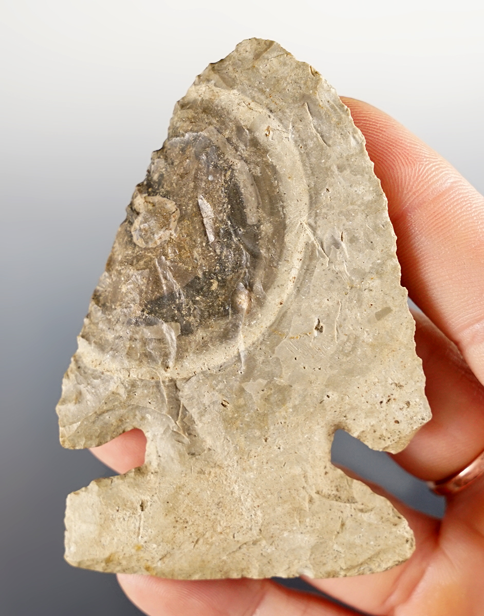 Main artifact image