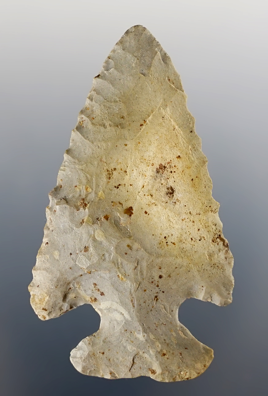 Main artifact image