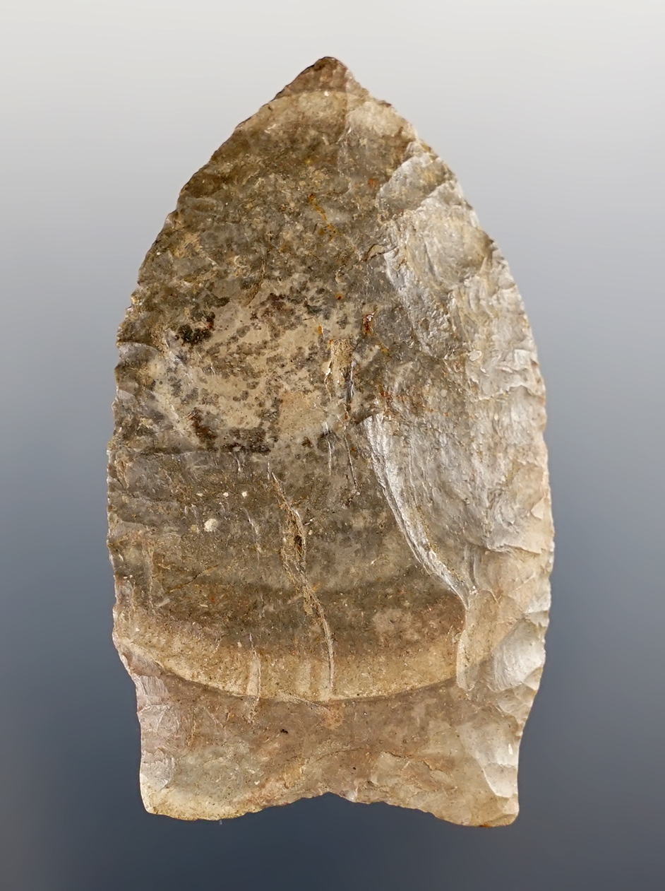 Main artifact image