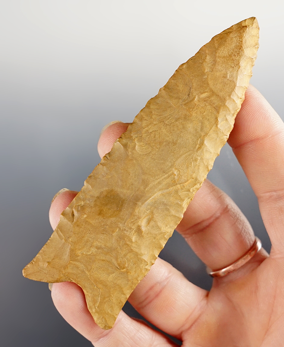 Main artifact image