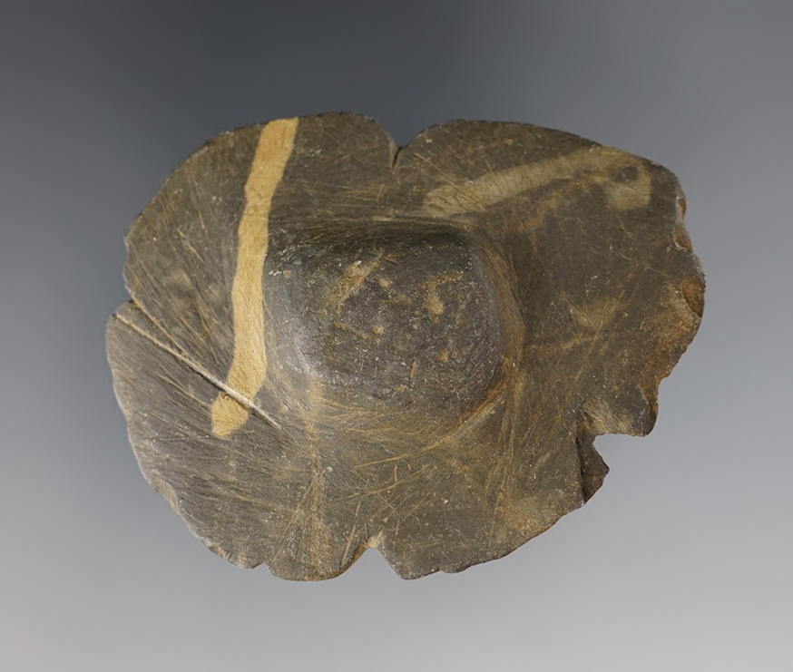 Main artifact image