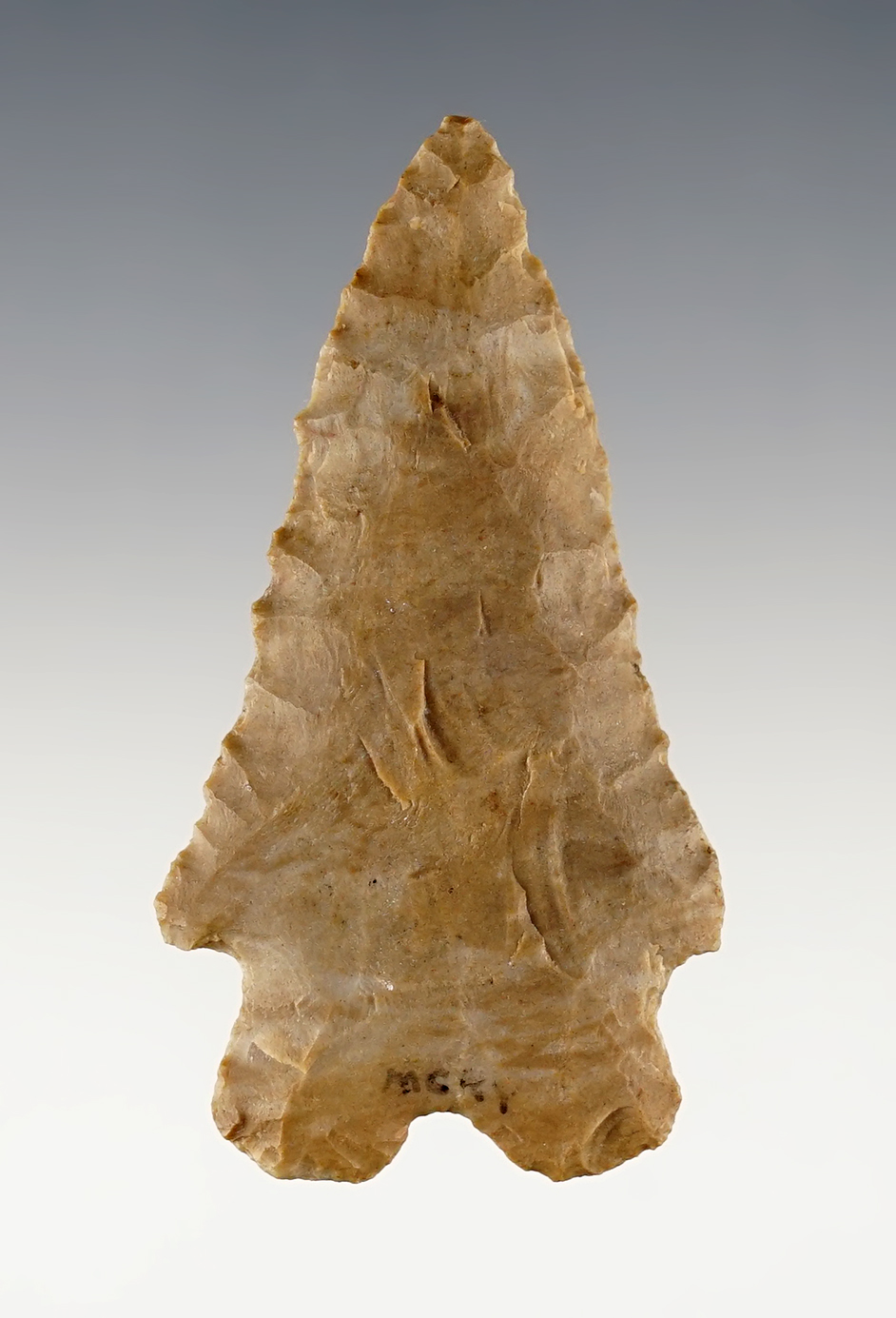 Main artifact image