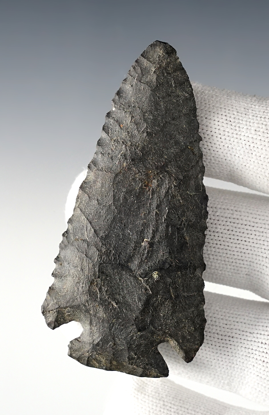Main artifact image