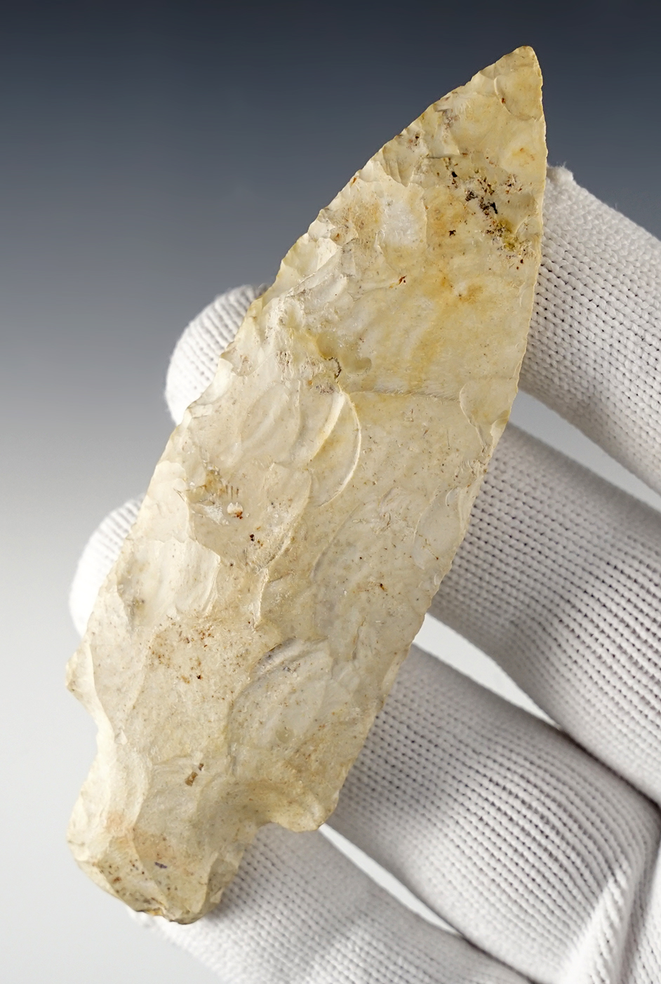 Main artifact image