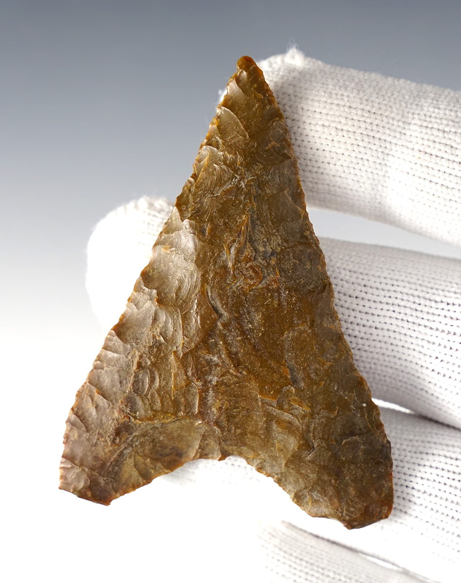 Main artifact image