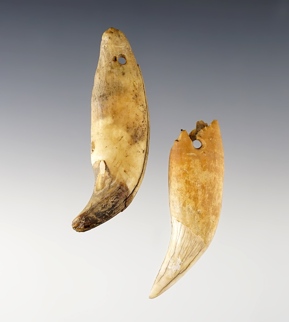 Main artifact image