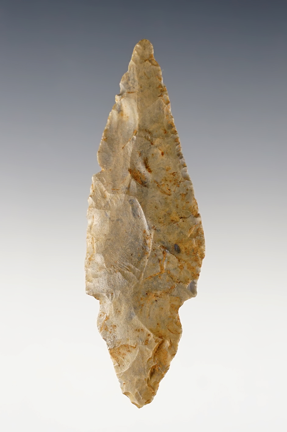 Main artifact image