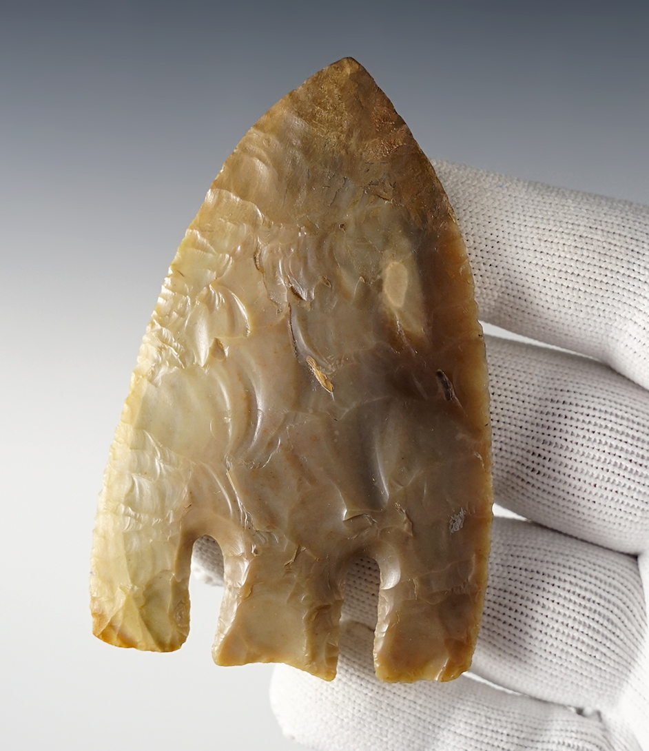 Main artifact image
