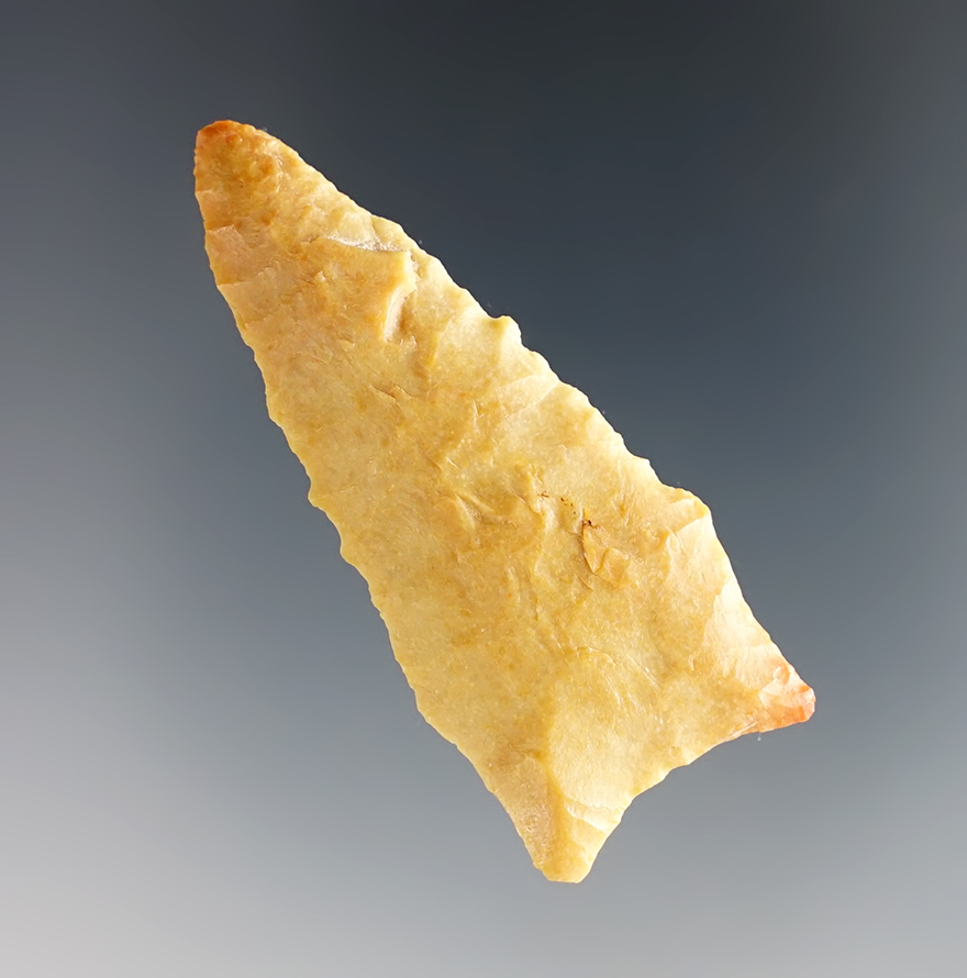 Main artifact image