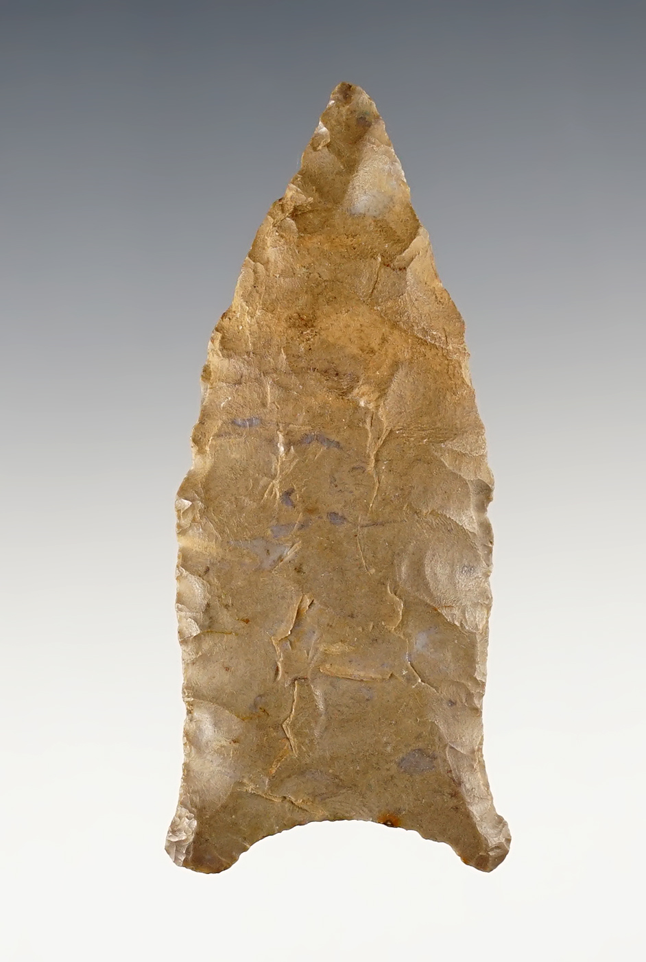 Main artifact image