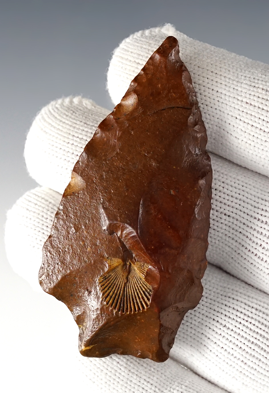 Main artifact image