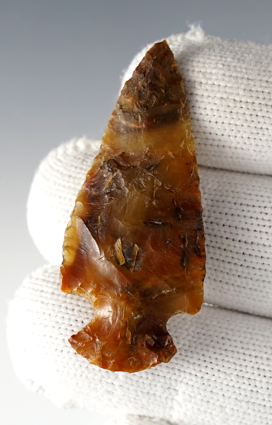 Main artifact image