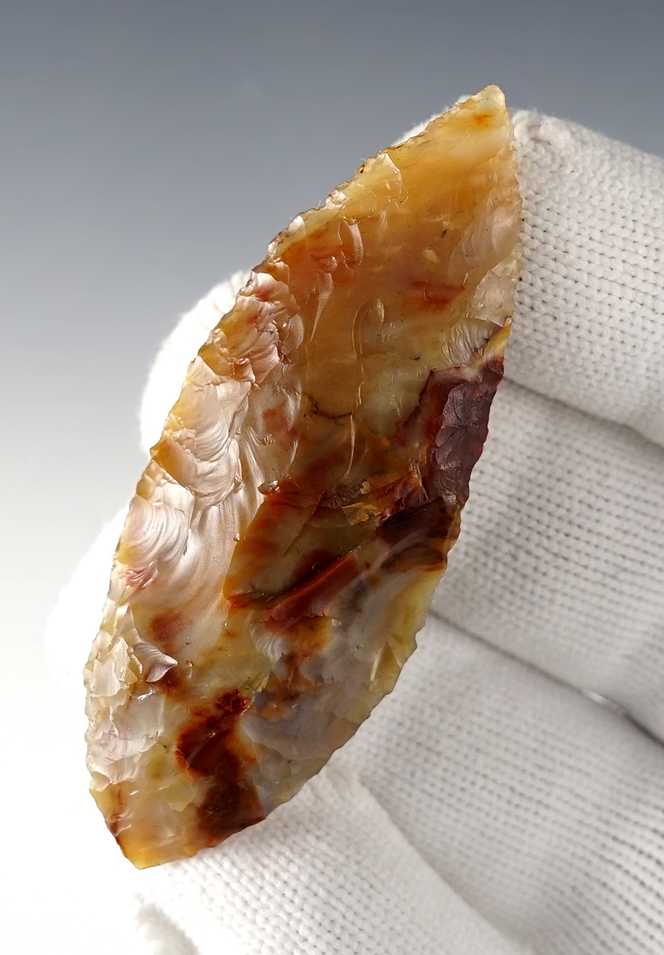 Main artifact image