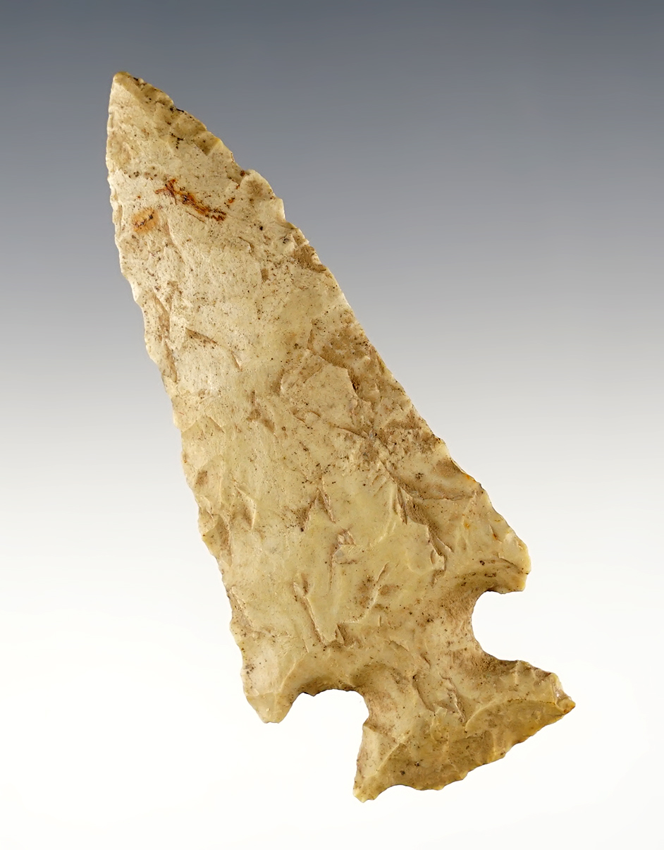 Main artifact image