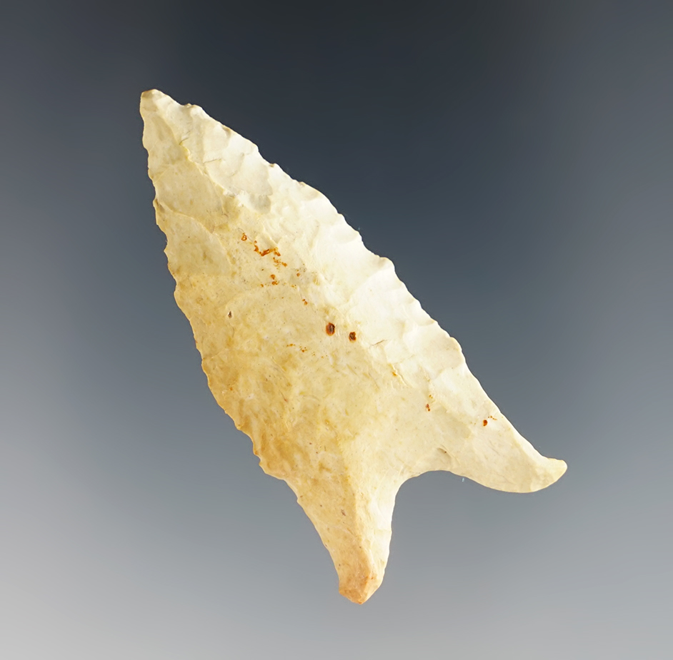Main artifact image