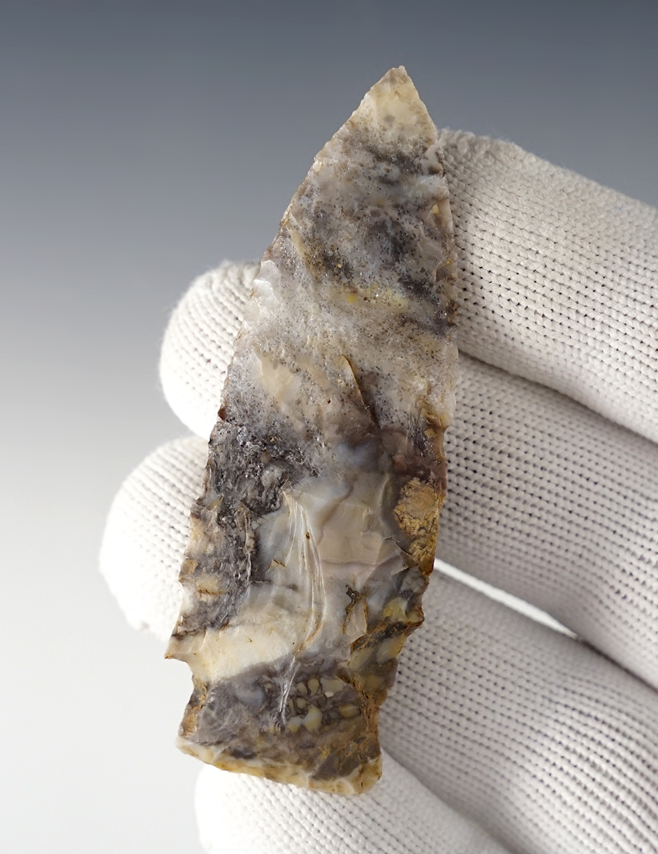 Main artifact image