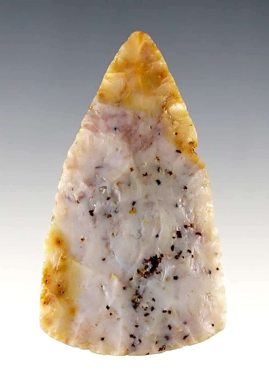 Main artifact image