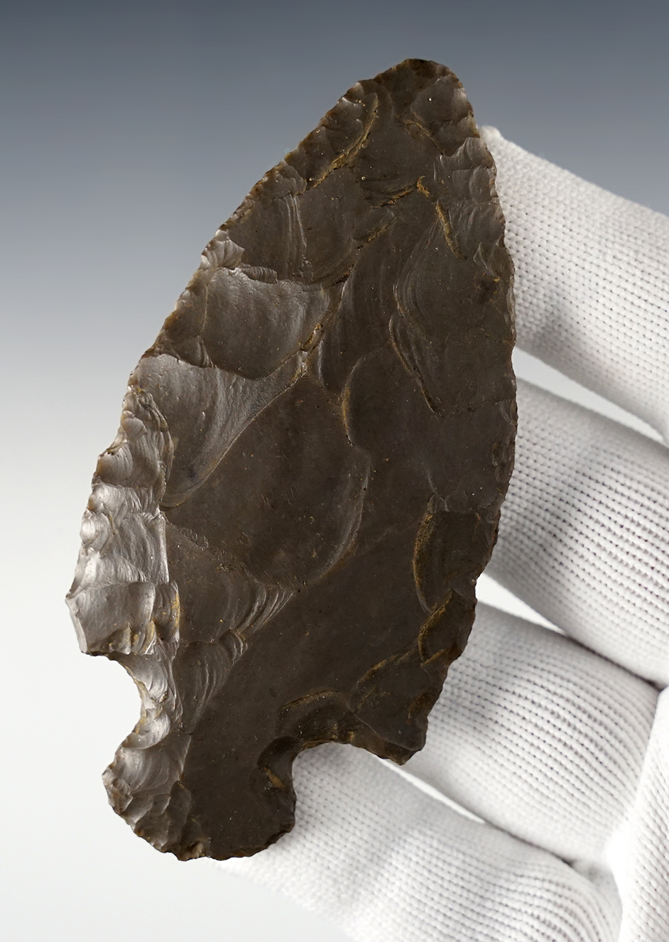 Main artifact image