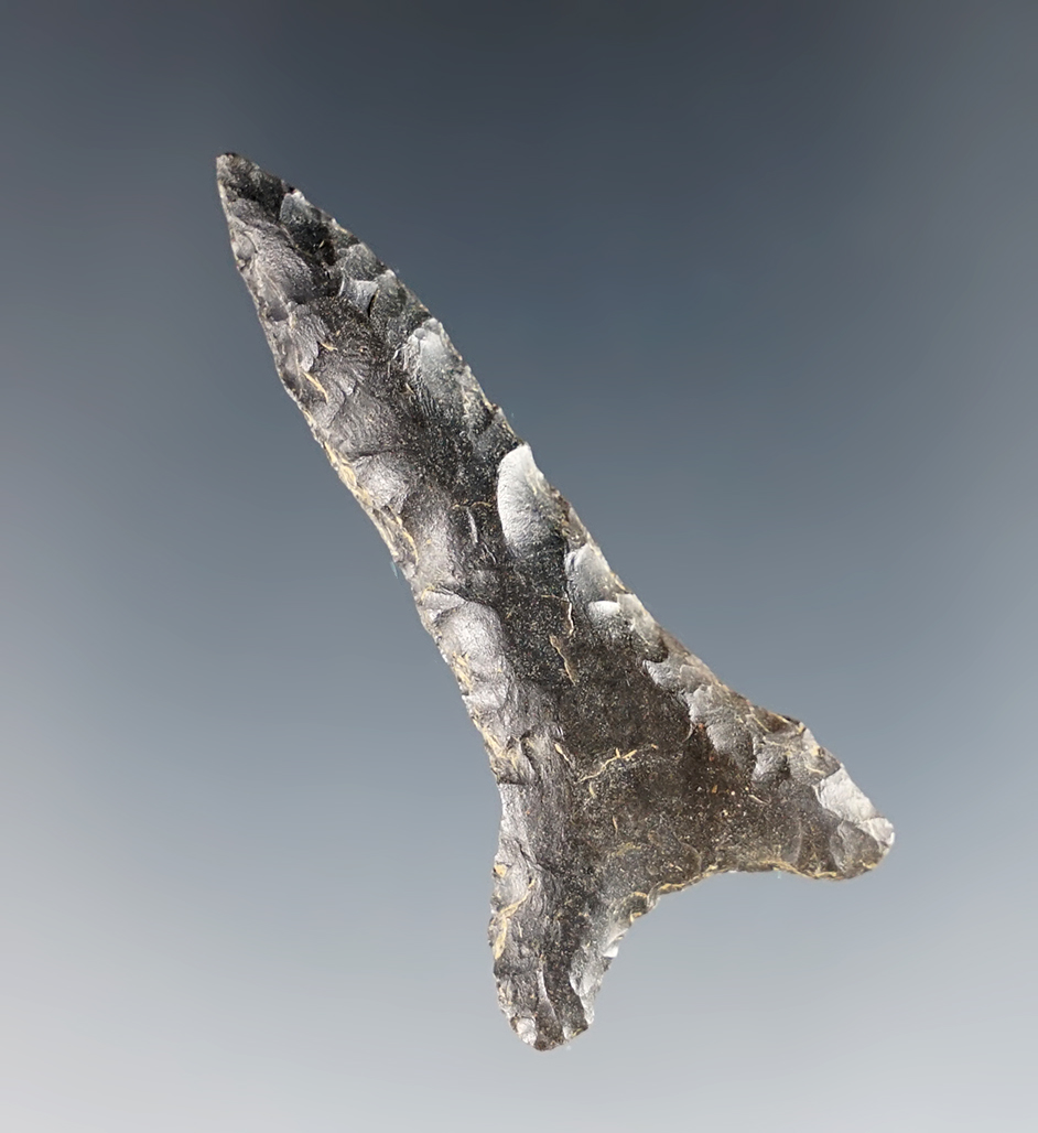 Main artifact image