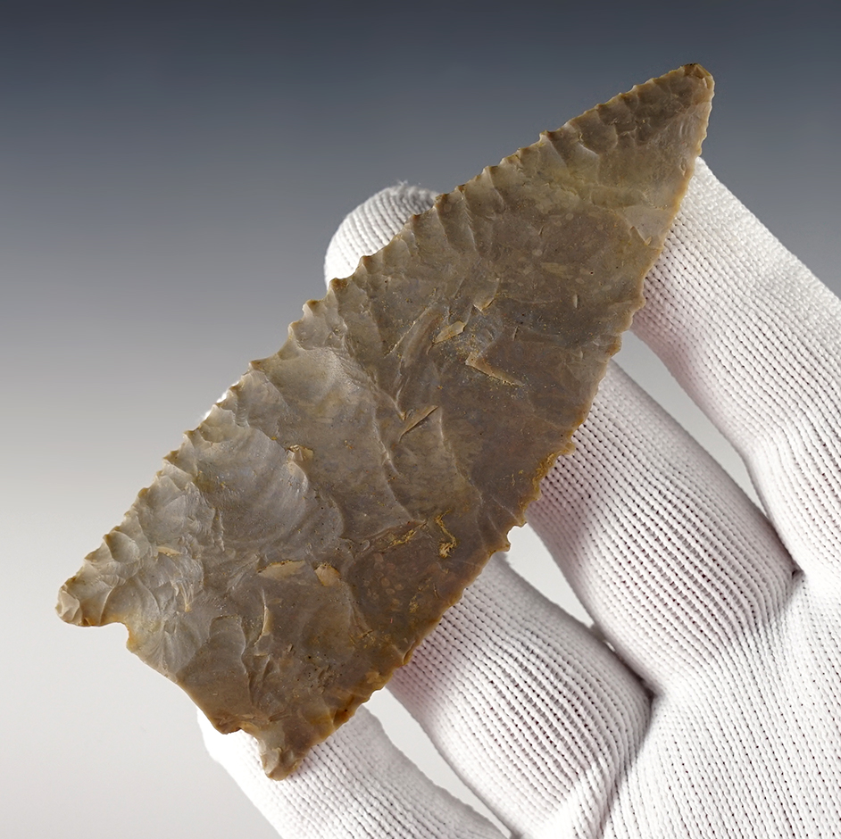 Fantastic 4 1/4" heavily serrated Archaic point. Base was snapped off in ancient times.