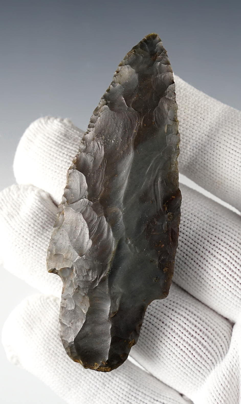 Main artifact image