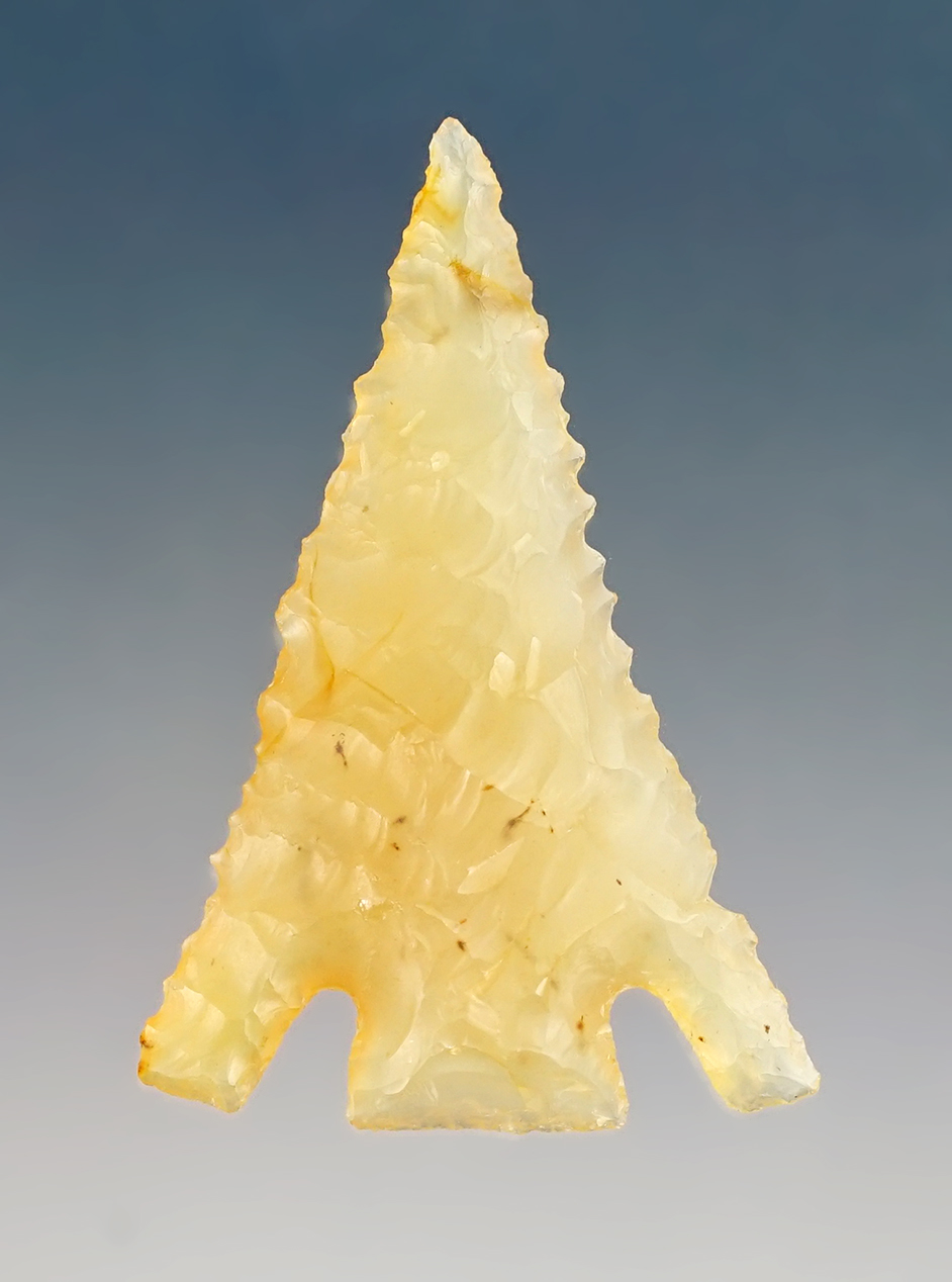 Main artifact image