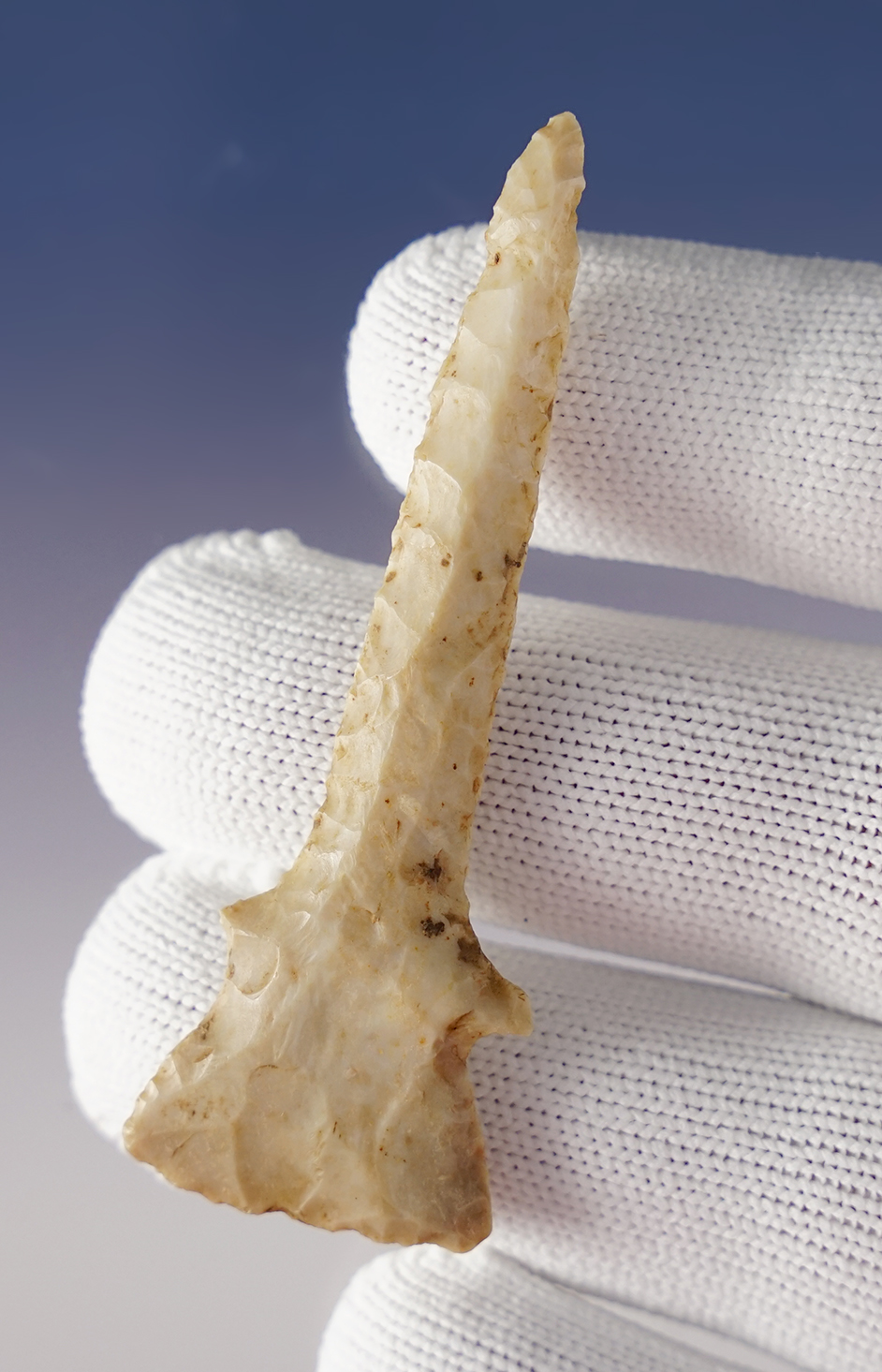 Main artifact image