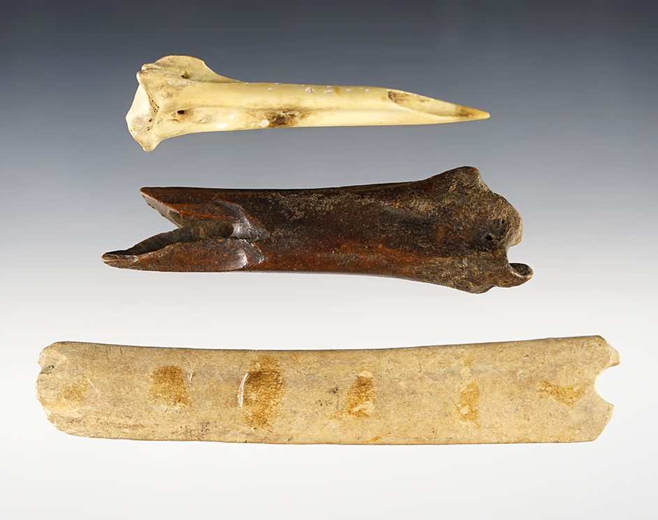 Main artifact image