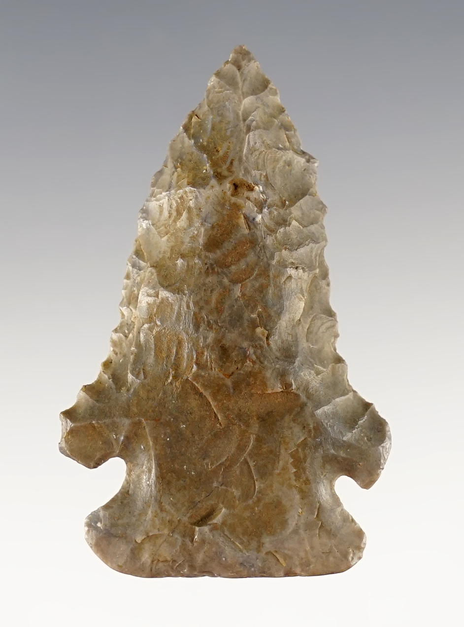 Main artifact image