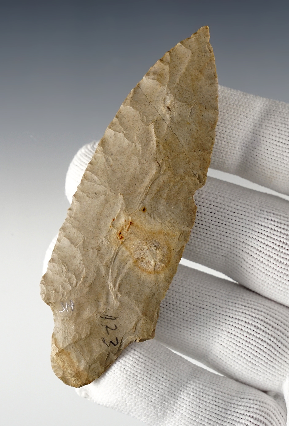 Main artifact image