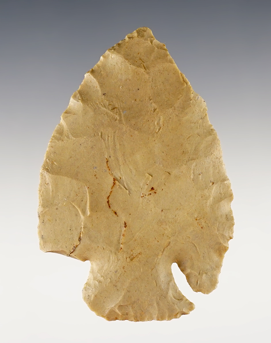 Main artifact image