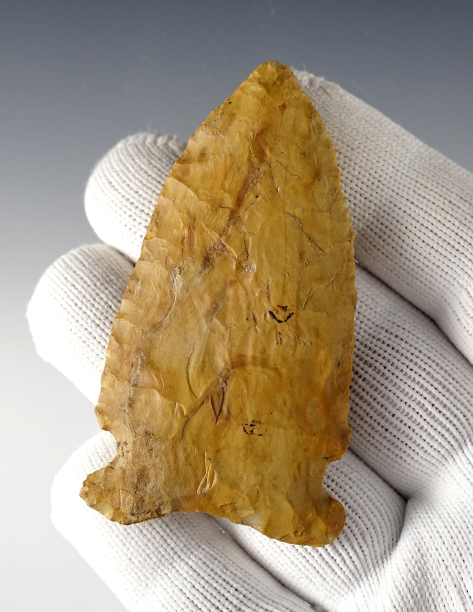 Main artifact image