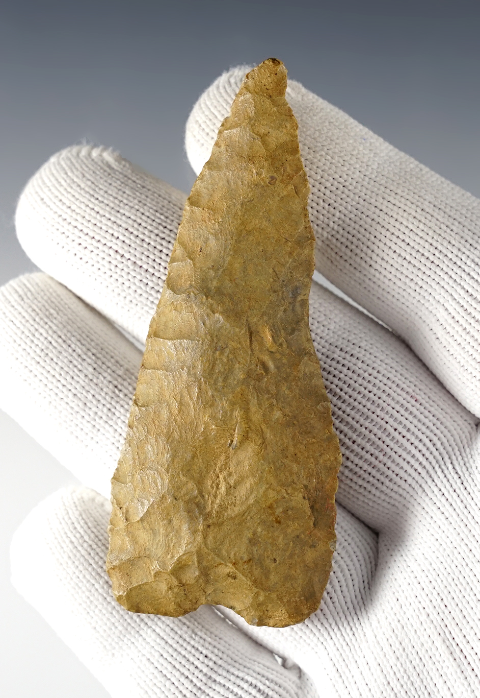 Main artifact image