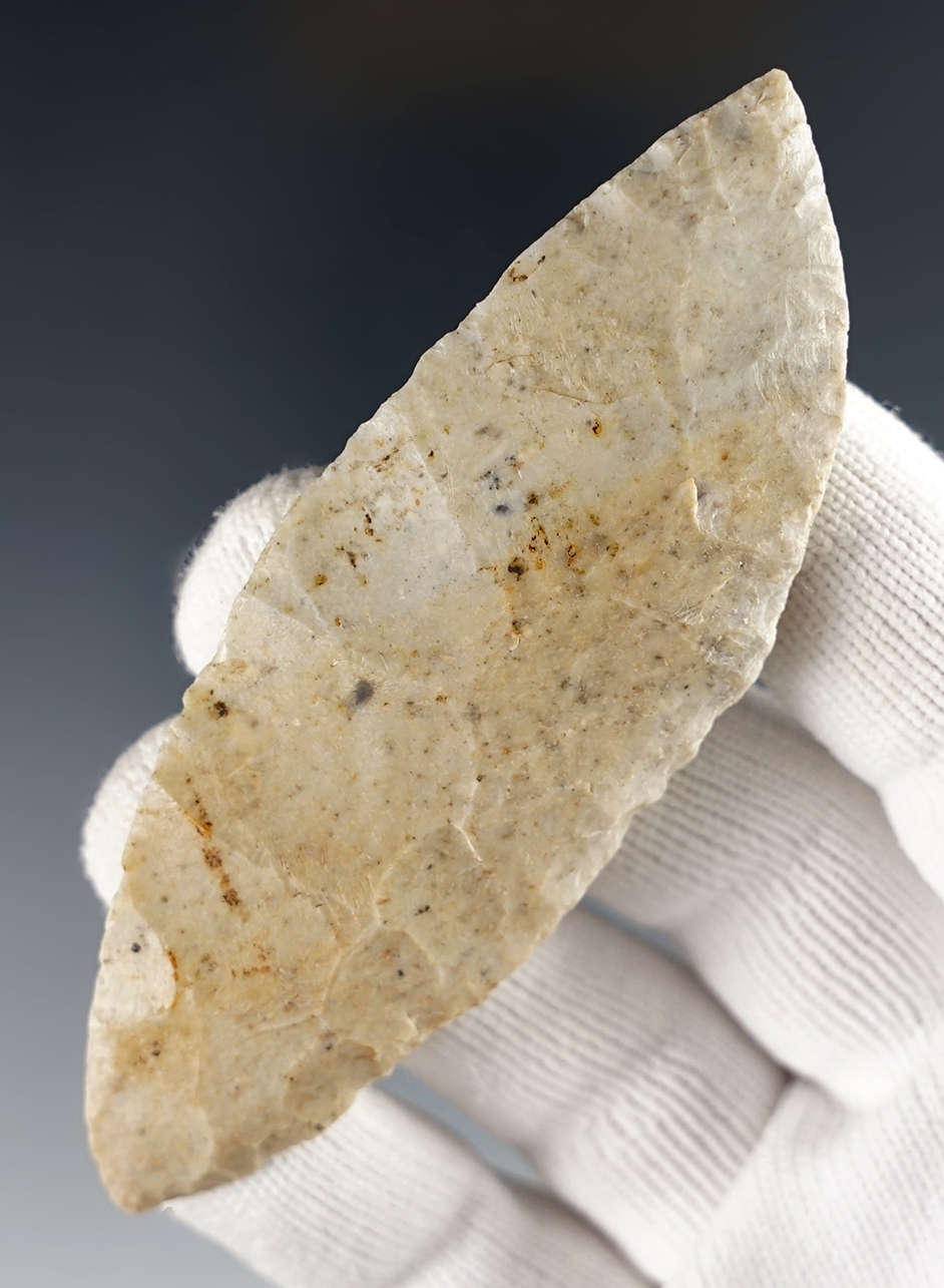 Main artifact image