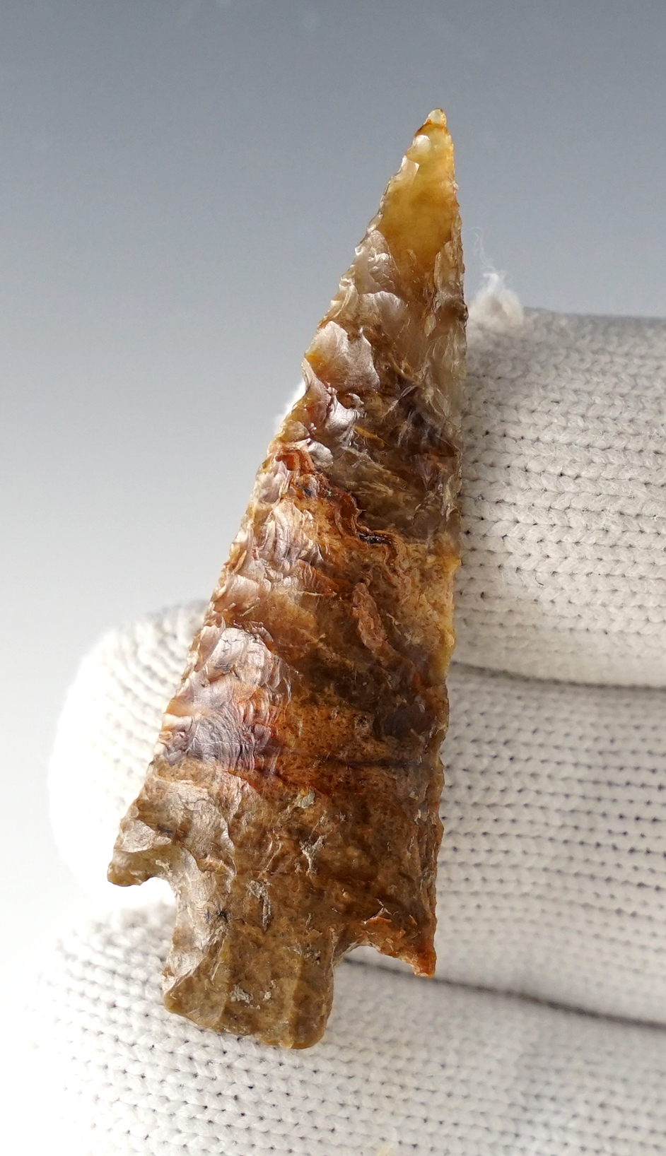 Main artifact image