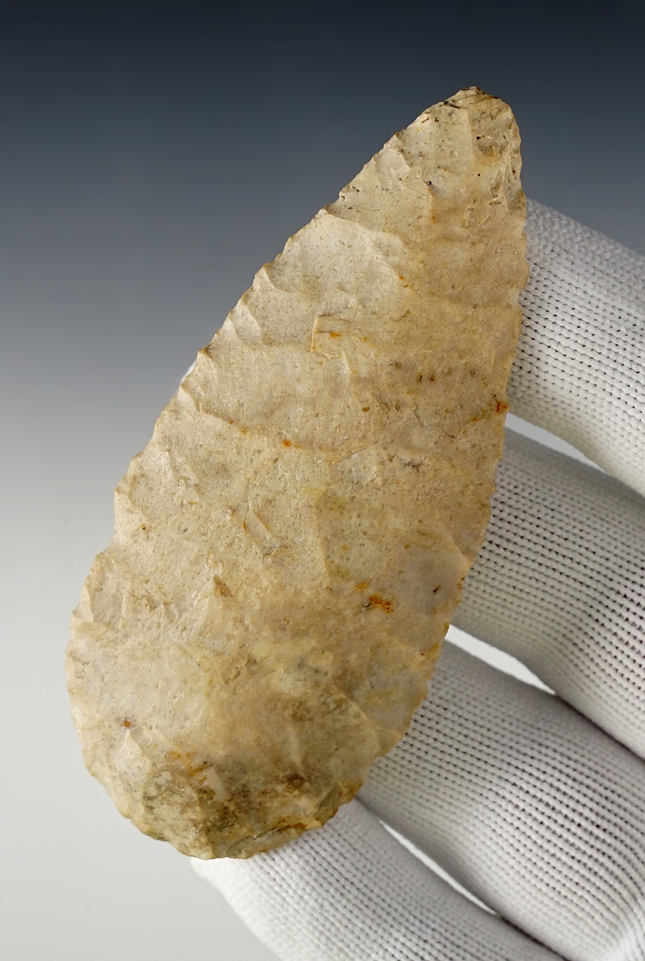 Main artifact image