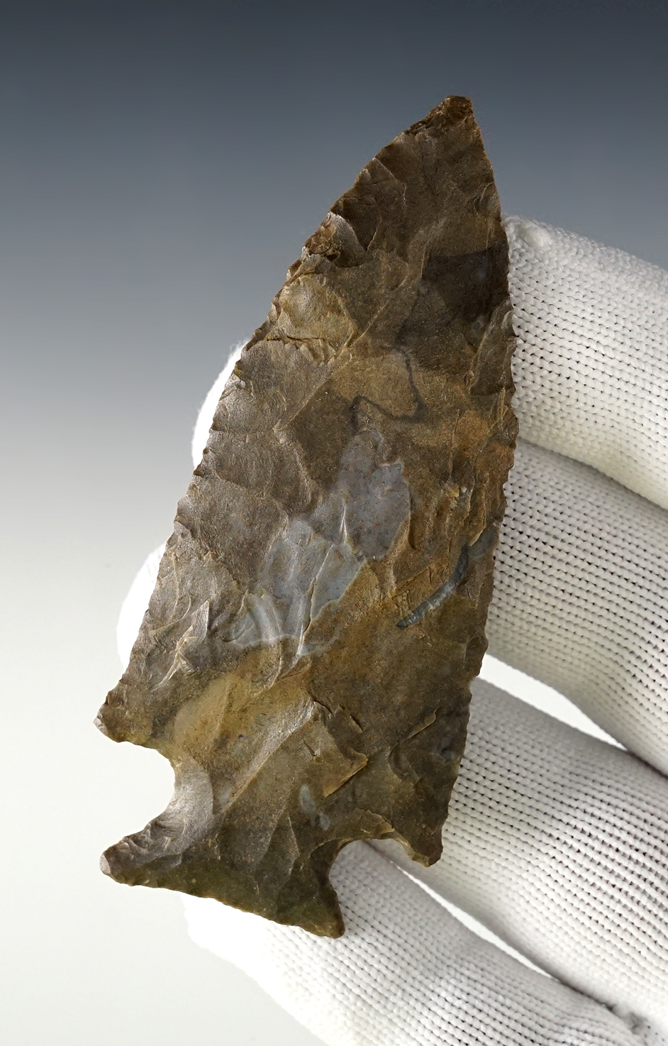 Main artifact image