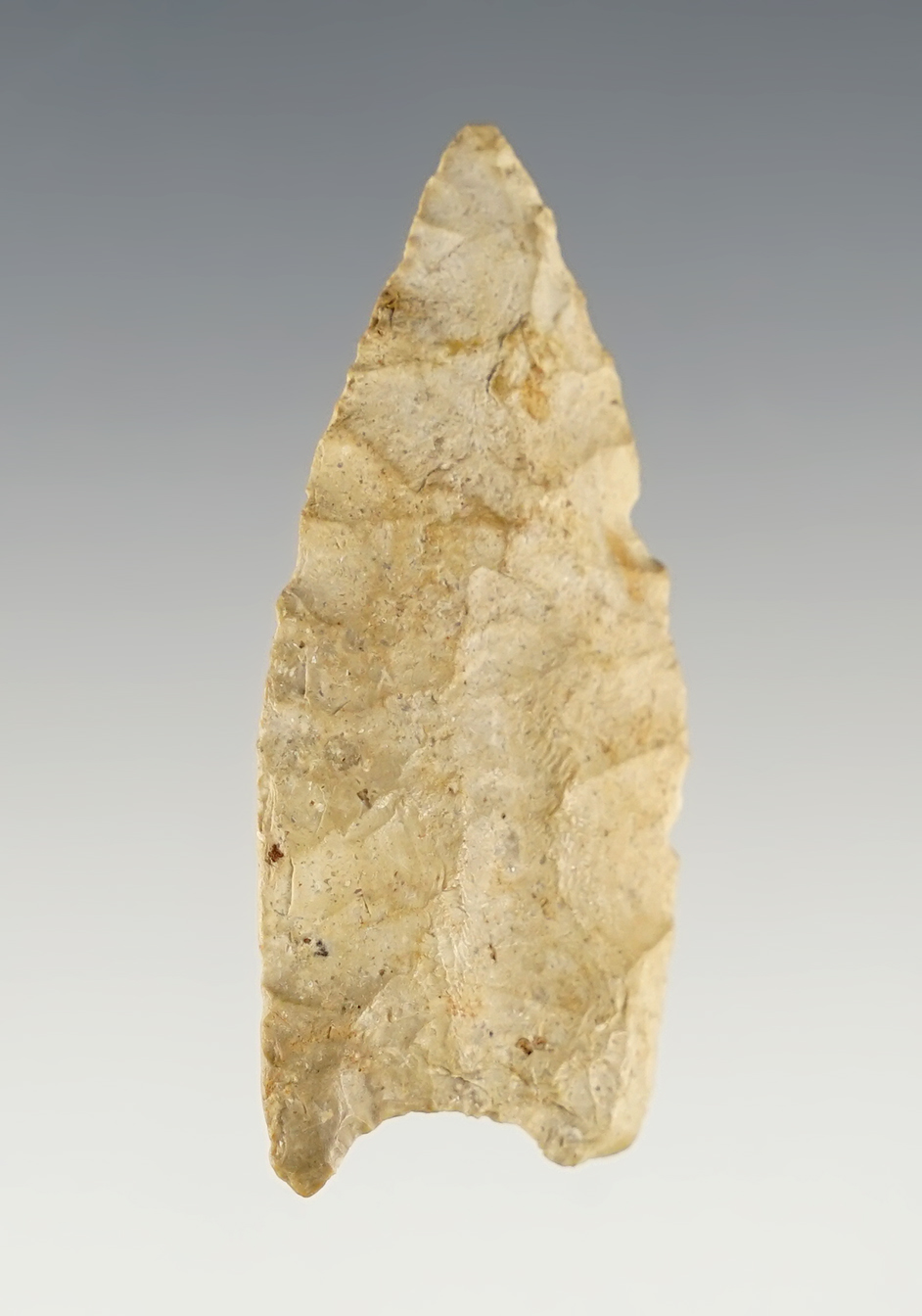 Main artifact image